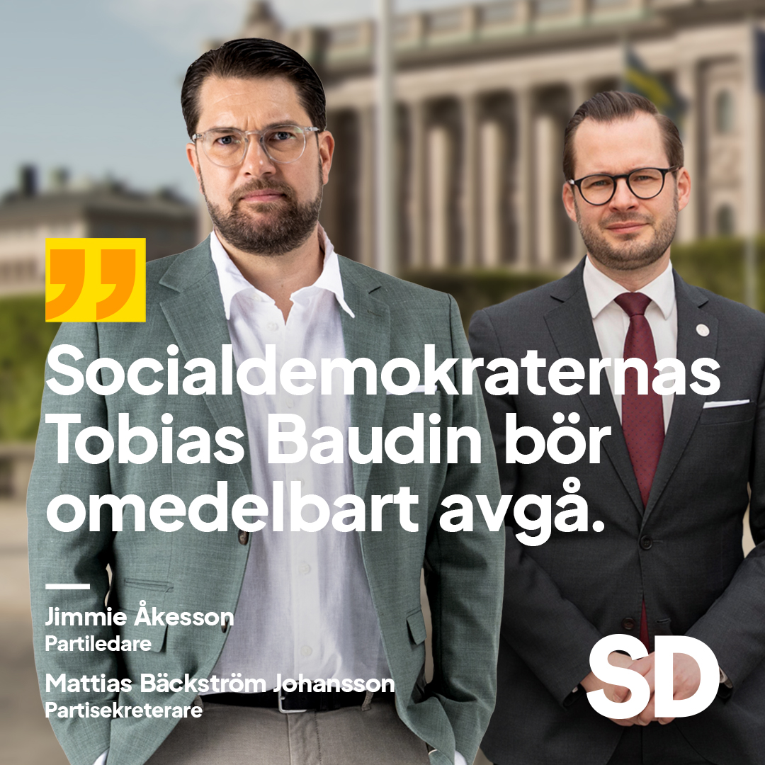 Jimmie Åkesson: Tobias Baudin bör avgår