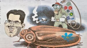 Bild Salle Roger - När gasade kackerlackor applåderas – men nyckelpigor får medier att krevera..