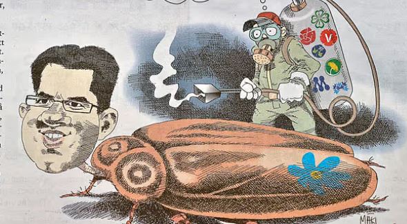 Bild Salle Roger - När gasade kackerlackor applåderas – men nyckelpigor får medier att krevera..