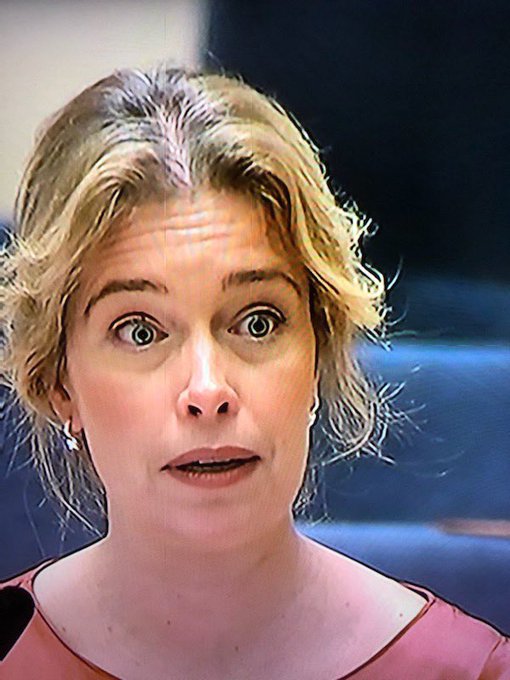 Regeringsbild - Annika Strandhäll (S)