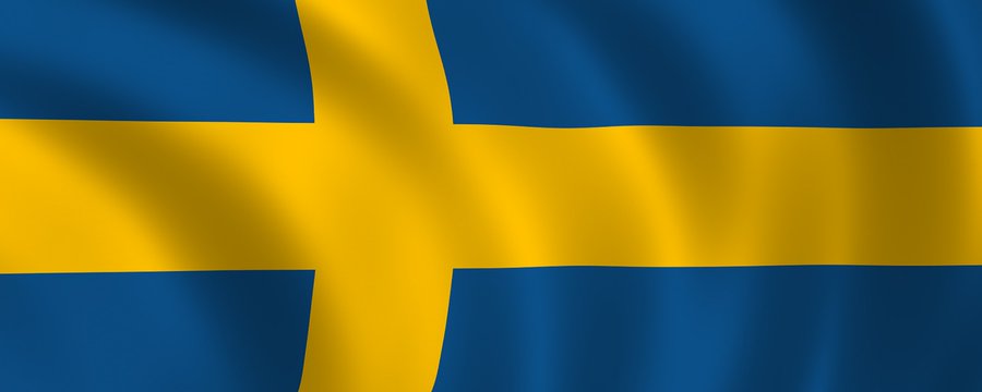 Bild från X i inslaget - Svenska Flaggan