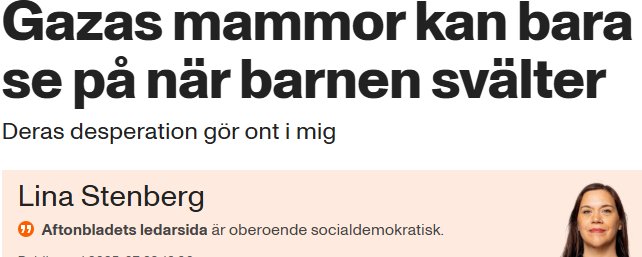 Lina gråter för Gaza – men blundar för sanningen