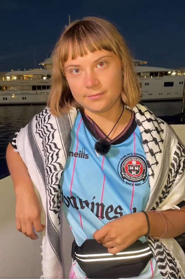 Herr Nawar listas tillsammans med den svenska aktivisten Greta Thunberg som en del av den 13 personer starka styrkommittén som orkestrerar den globala Sumud-flottiljen.