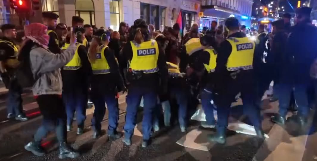 Bilf - Salle - Det var lite sött igår. Aktivisterna var så modiga – tills polisen tog ett steg framåt. Då skrek de på mamma och några började gråta hysteriskt. Samtidigt som de kallade polisen nazister bad de plötsligt samma poliser att skydda dem – inte bara från verkligheten, utan också från min kamera. Dubbelmoralen skriver sina egna parodier..