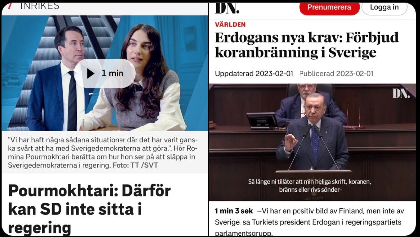 Hennes uttalande är naturligtvis rent struntprat.